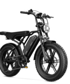 Fettes E-Bike