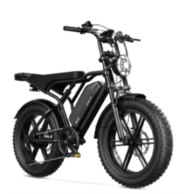 Fettes E-Bike