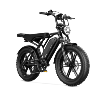 Fettes E-Bike