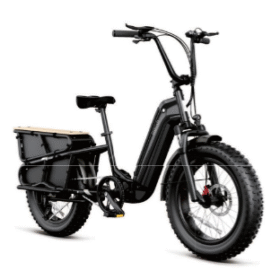 Cargo E-Bike