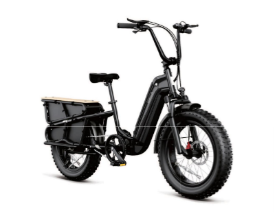 Cargo E-Bike